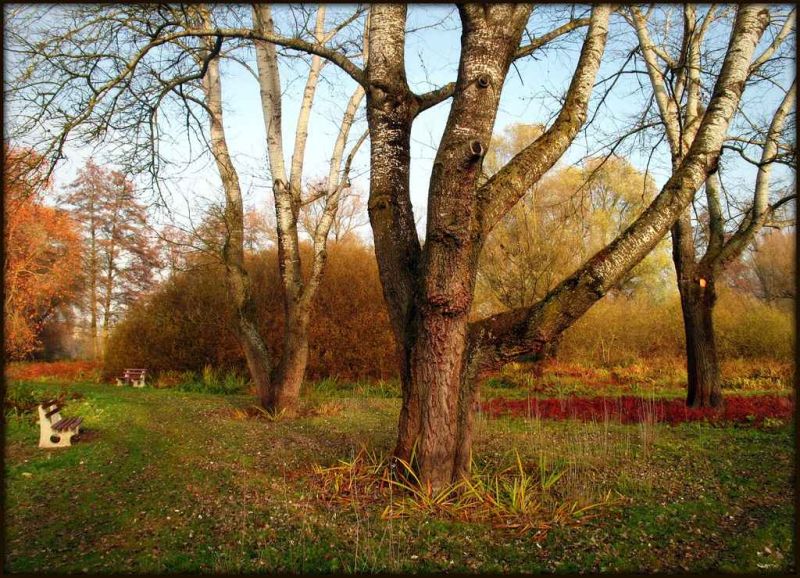 novemberplace.jpg
